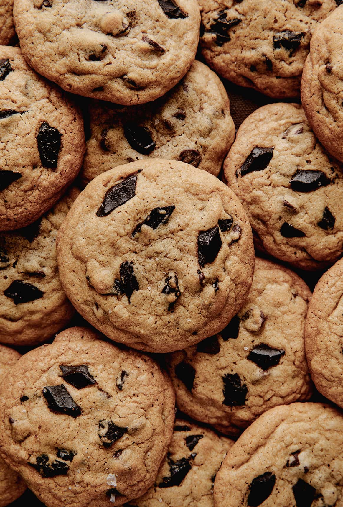 Chocolate Chip Cookie